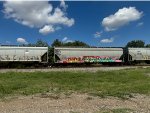SCFX 515731